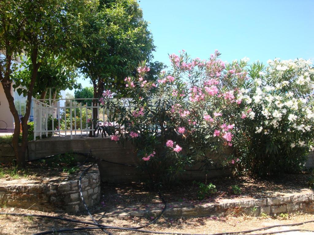 Calamon Apartments Episkopi-Chania Exterior foto